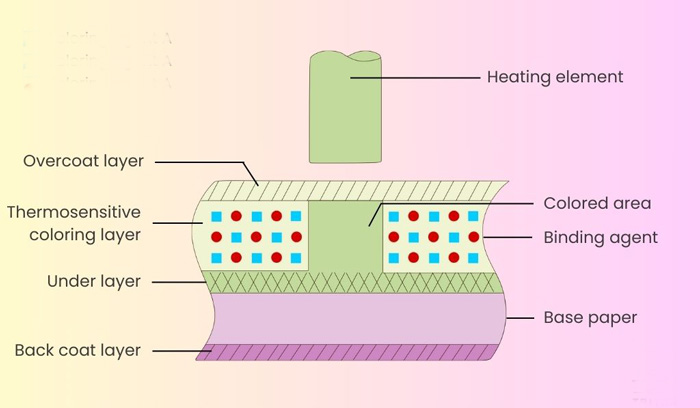 composition-of-thermal-papers