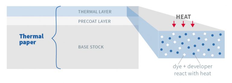 thermal-paper-structure